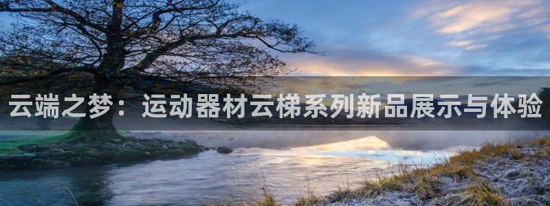 球速体育QsTY官网下载联系电话:云端之梦:运动器材云梯系列