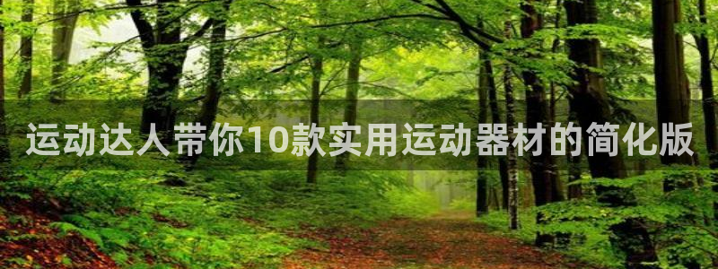,球速官方集团官网:运动达人带你10款实用运动器材的简化版